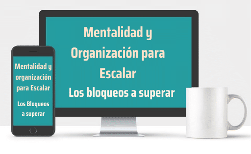 Organización para Escalar